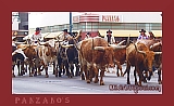 wsteers03T (21K)