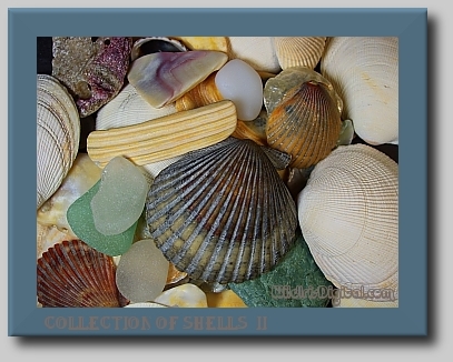 wshells01.2.8 (104K)