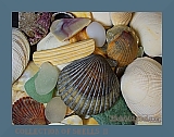 wshells01.2.8t (26K)
