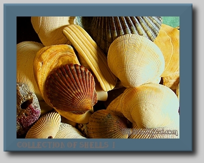 wshells12.2.7.05 (118K)