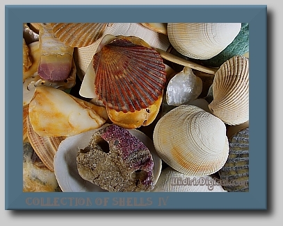 wshells4.2.14 (108K)
